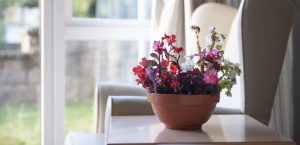 Flowers on a table